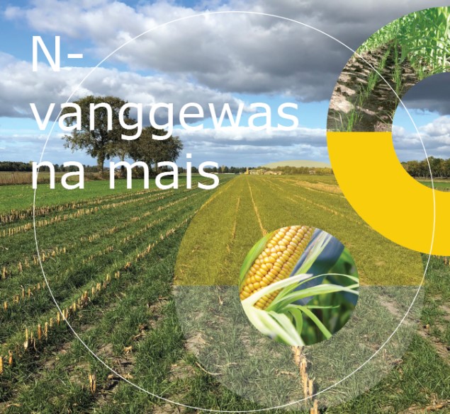 Vanggewas